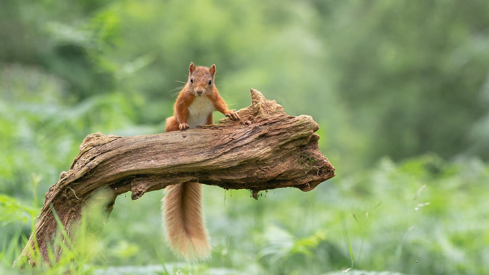 _室内外混合挑战赛:多场景融合新体验_,室内和室外比赛有什么区别