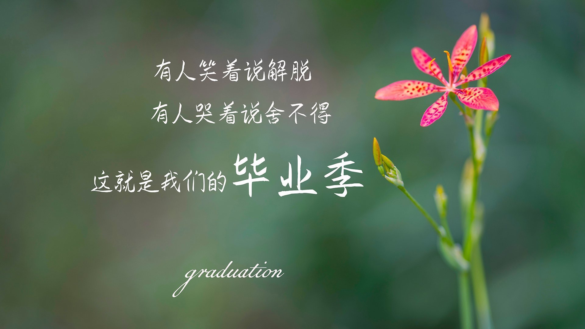 _奇才队士气高涨,期待突破_,奇才队的比赛