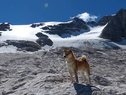 _赛事组织者谈：如何应对突发状况与挑战_，应对突发状况的关键