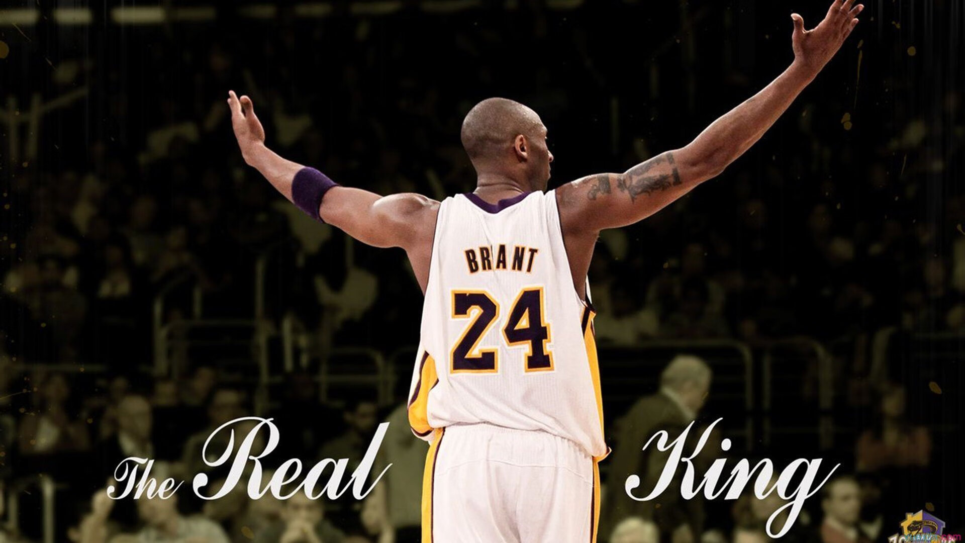 九游网-“穿越荒漠，征服冰原”——最壮观的极端赛段全纪录