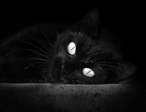 女子篮球国际邀请赛中国队荣获冠军,国家女子篮球比赛