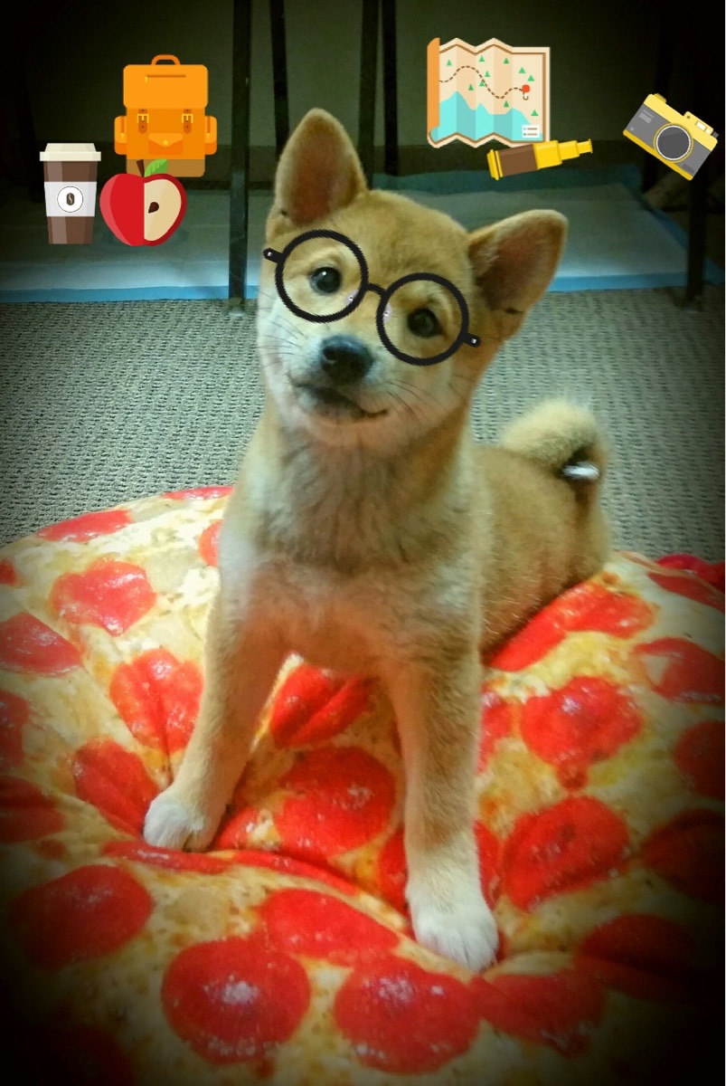 九游游戏中心-数字化管理系统在全国青训中逐步普及，行业效率提升明显，数字化管理信息系统