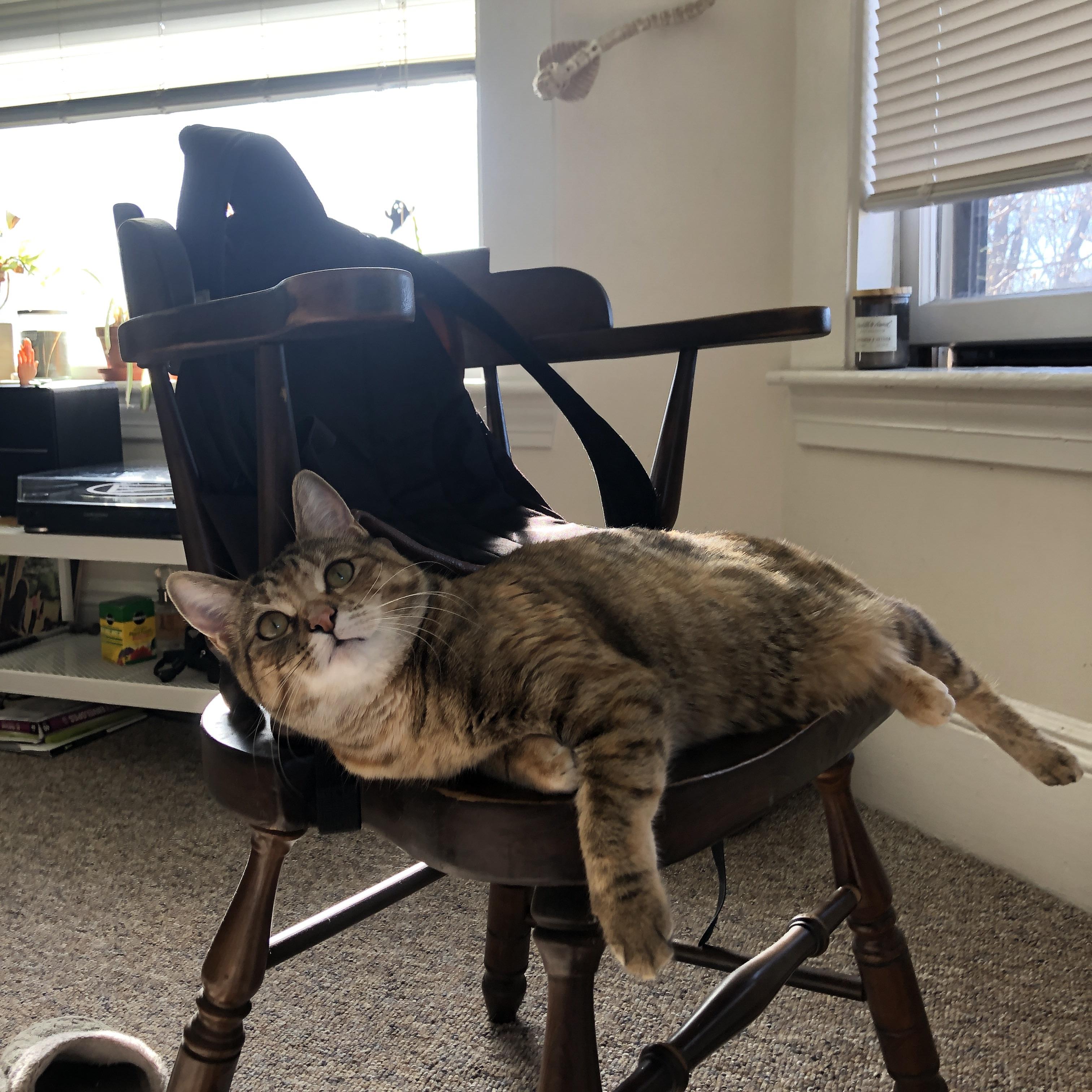 未来联盟：5大最值得期待的年轻核心球员，未来联赛