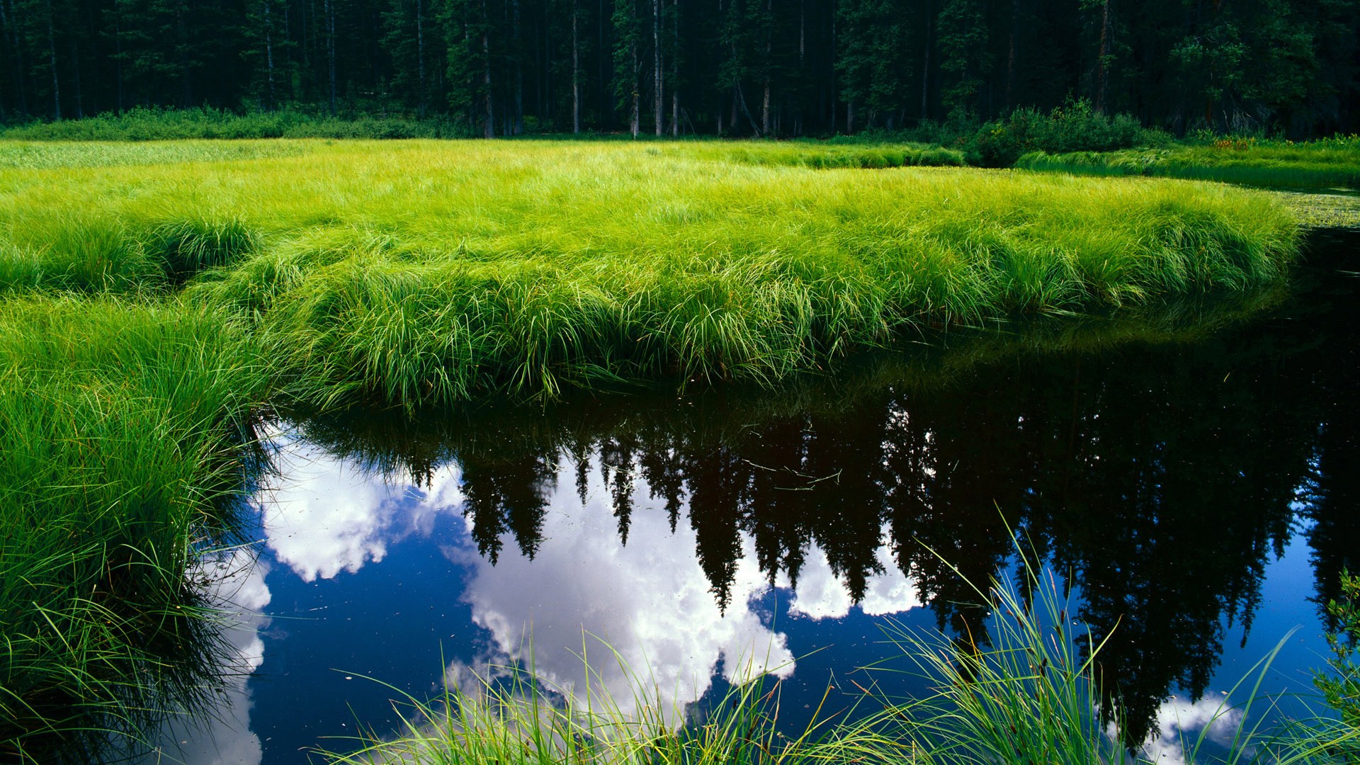 九游网页版官网-足球特长生录取机制在多省同步改革，2021年足球特长生招生