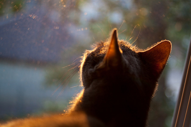 九游网页版官网入口-足球场馆智能安检设备全面启用，确保安全无忧，足球场检测标准