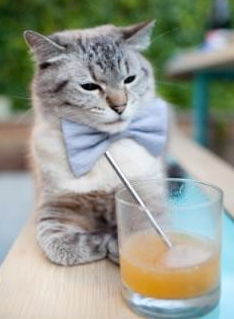 边远地区足球基础设施逐步完善，普及率大幅提升，足球边缘