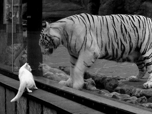 快船险胜湖人,常规赛巅峰对决中乔治贡献关键助攻,快船险胜湖人 新闻