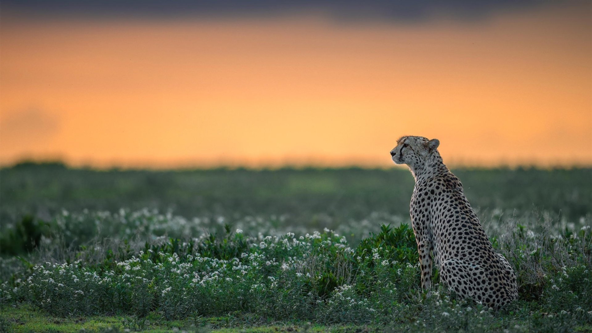 -欧预赛局势动荡：有意外的一天，谁将胜出？，欧预赛比赛结果