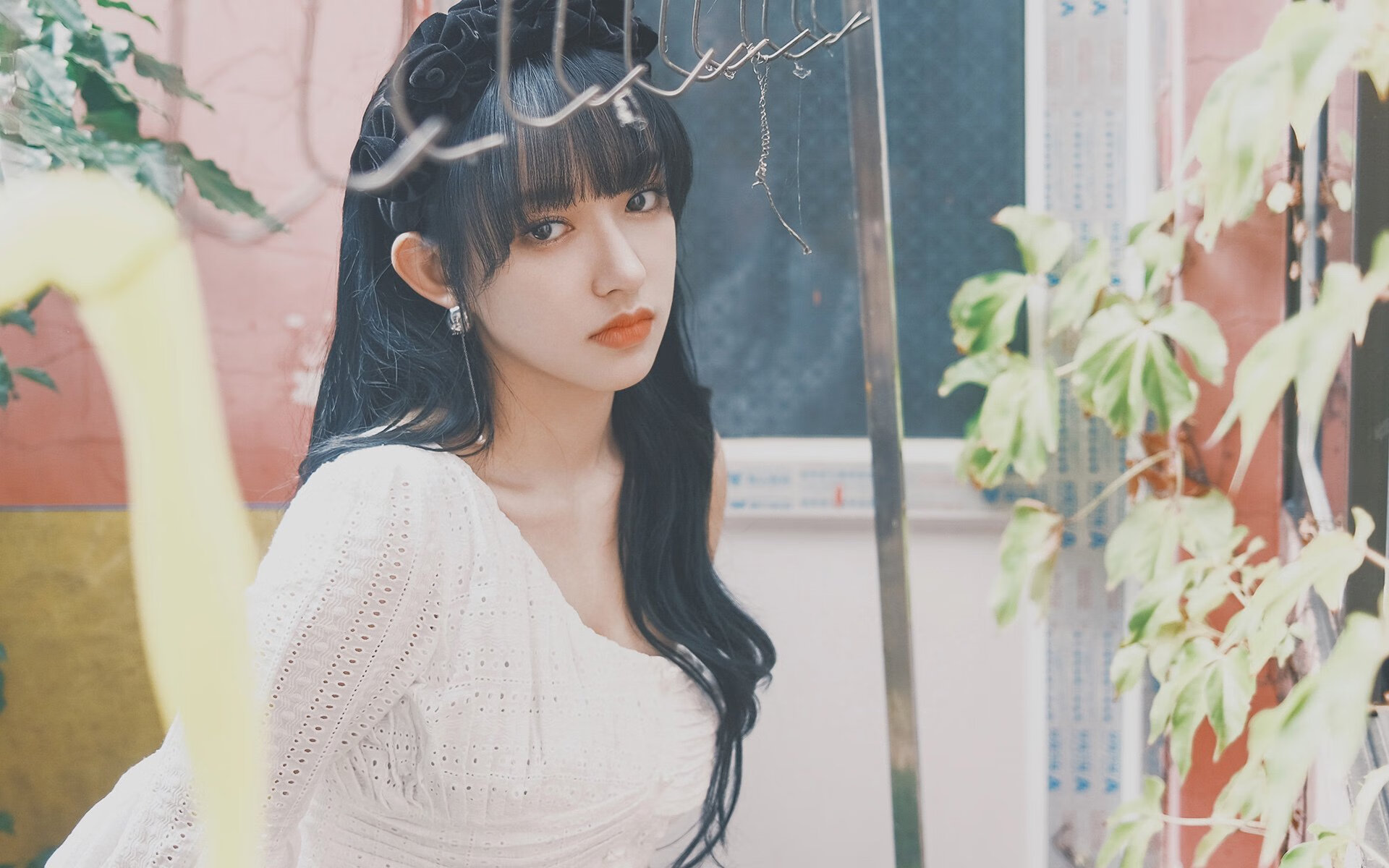 狼队主帅公开表扬队员拼搏精神,赞誉不断,狼队队员介绍