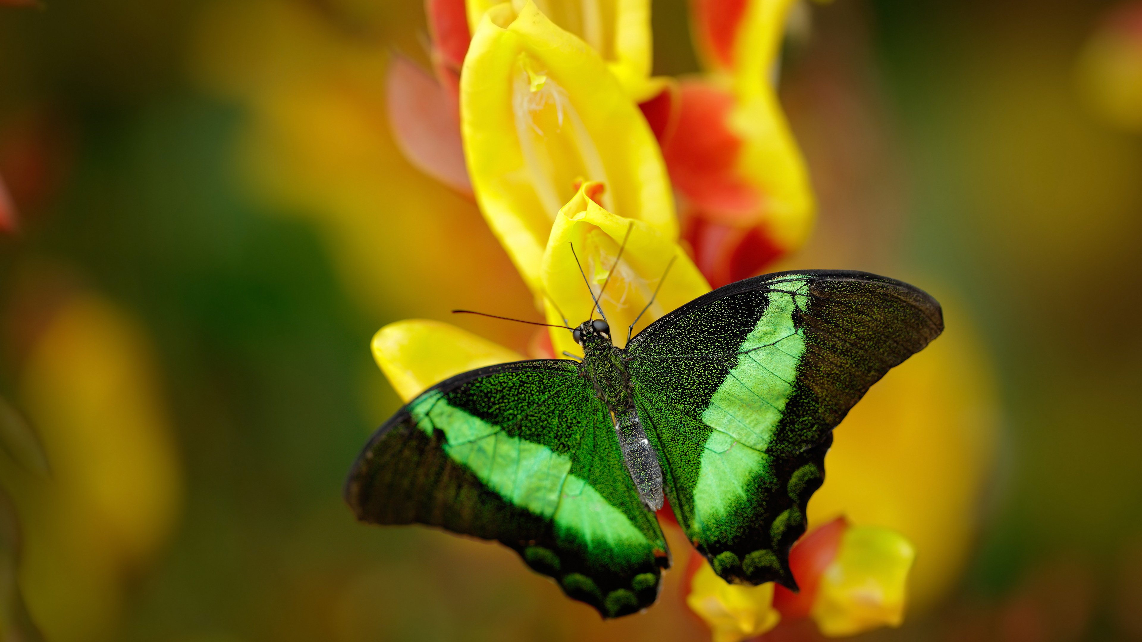 葡萄牙女足在欧洲预选赛中失利,未能晋级巴黎奥运会,葡萄牙足球进2021奥运会了吗