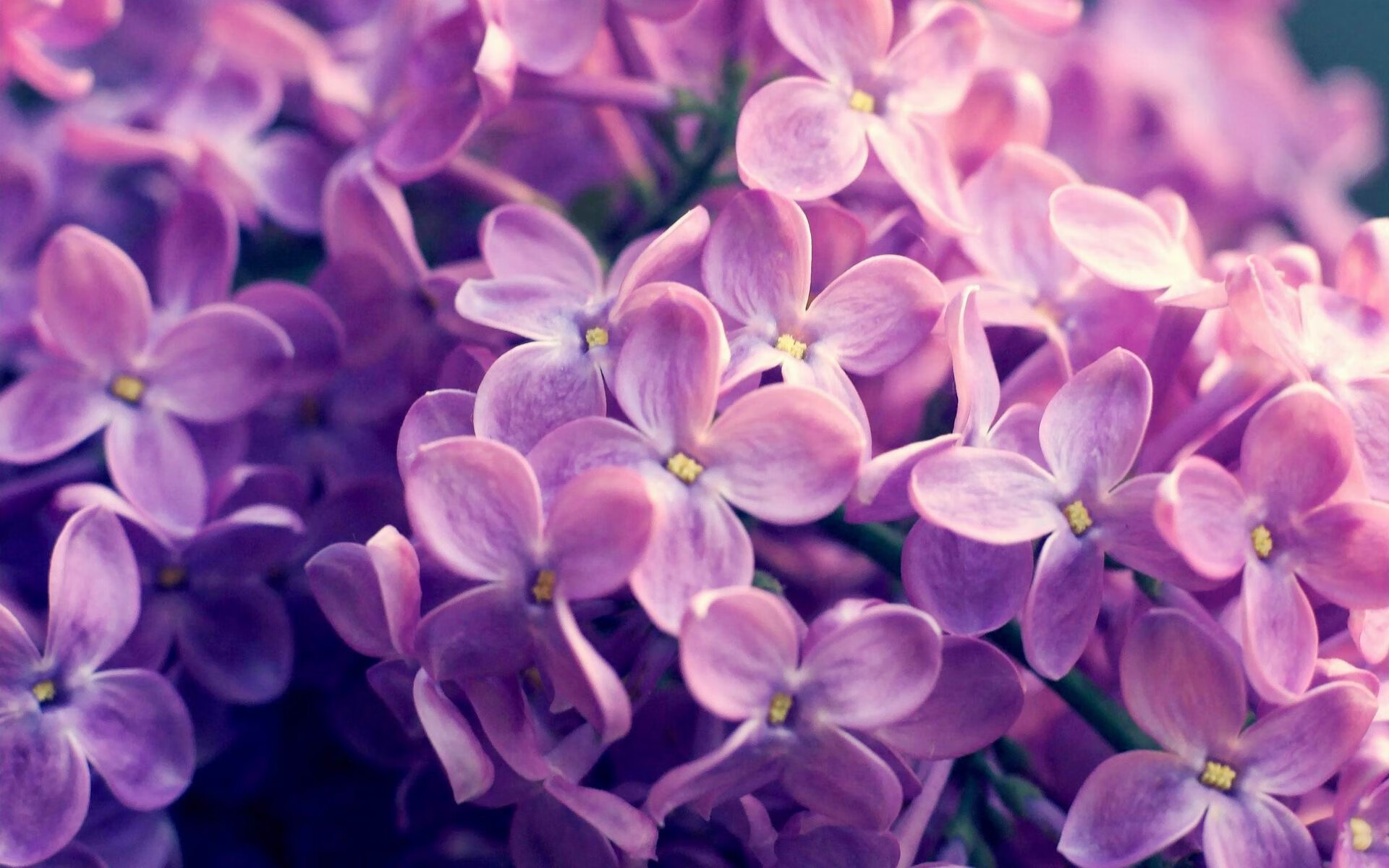 莱比锡球员获月度最佳，莱比锡转入球员