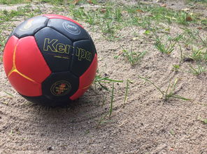 九游app下载中心-世界青年手球锦标赛中国队勇夺三连胜，世界手球锦标赛几年一次