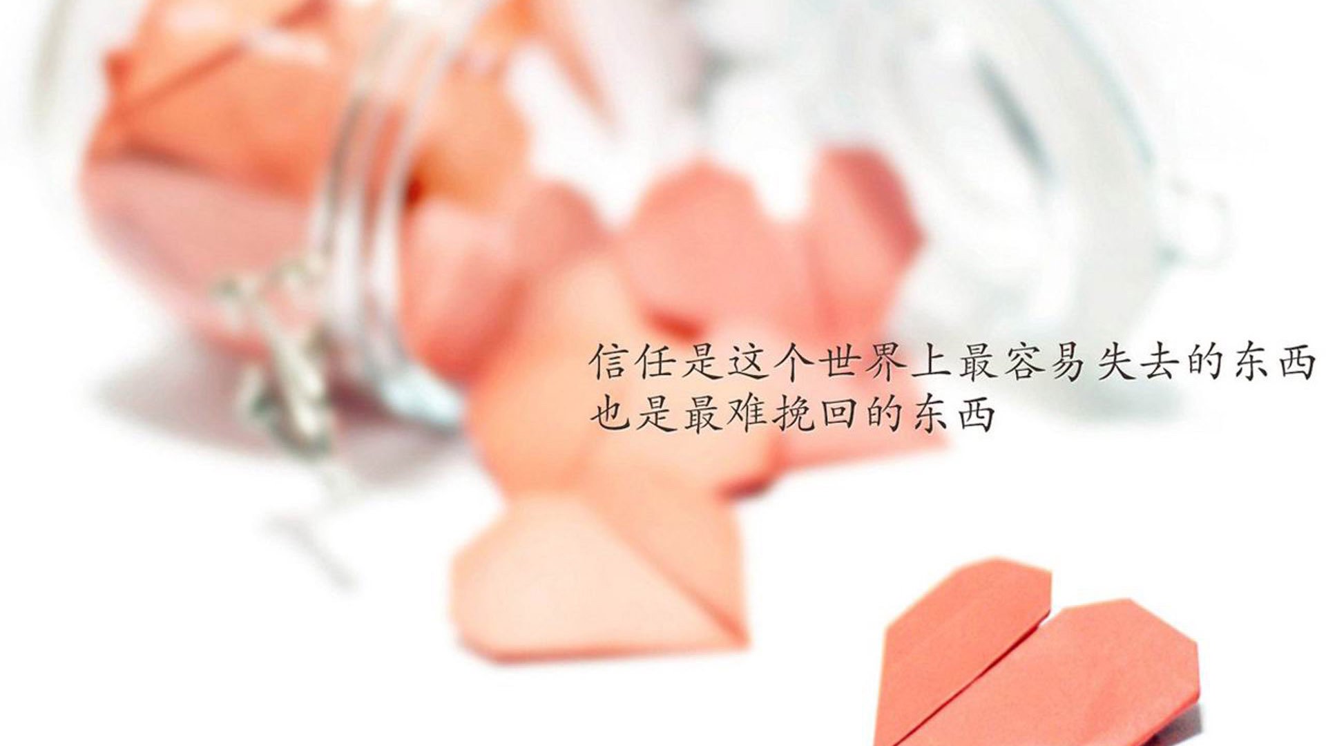 中国篮球职业联赛俱乐部财务管理风险控制,篮球俱乐部管理层组织架构