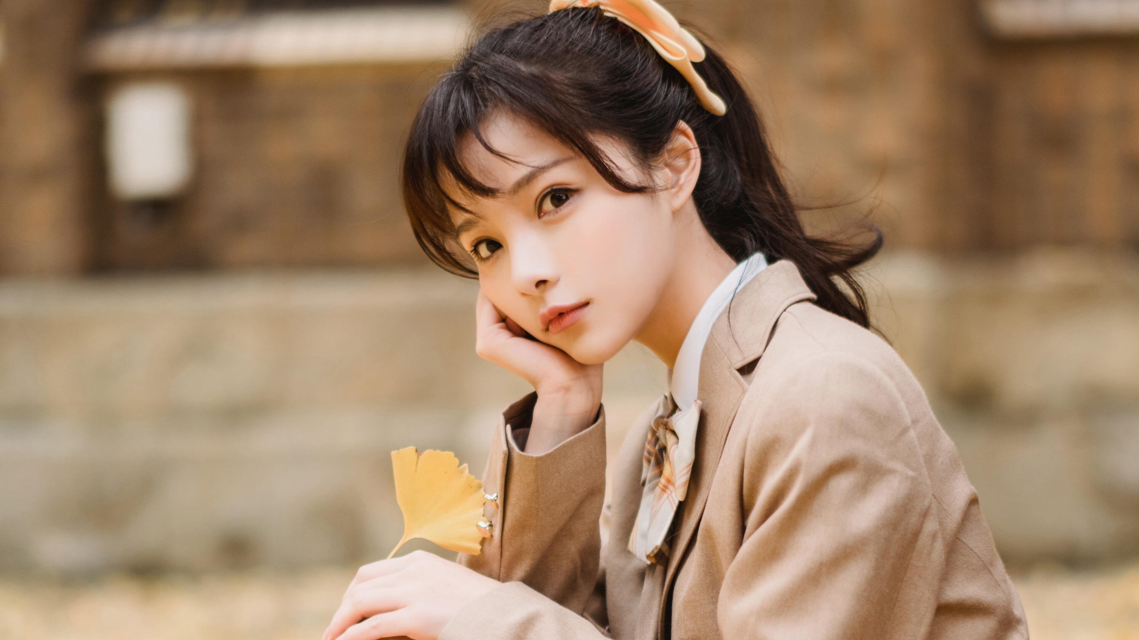 中国篮球场馆建设与管理模式研究,篮球场馆管理系统