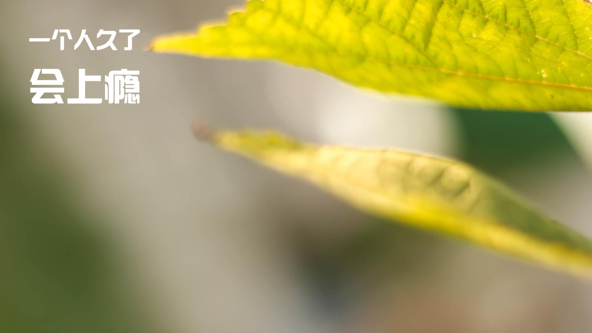 中国足球各位置平均贡献率评估,中国足球收入排行榜2019