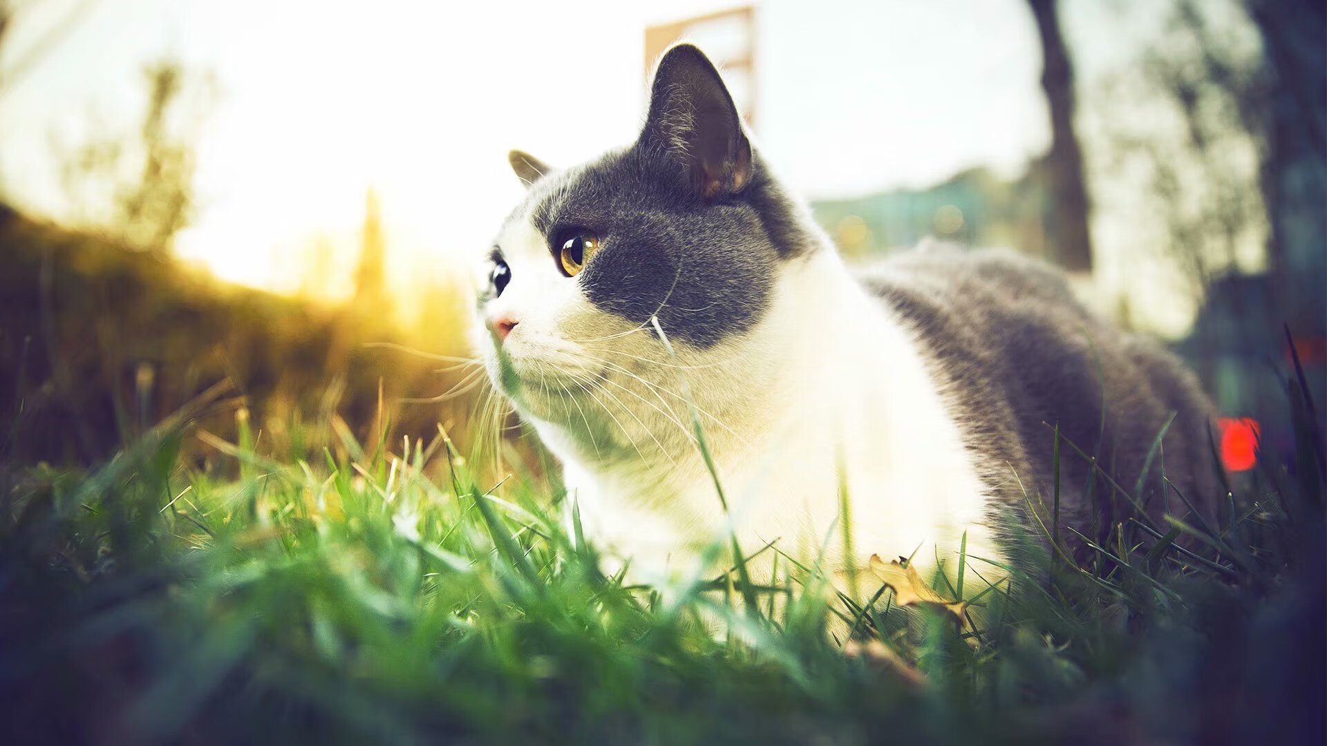 九游游戏中心-新闻中心AI赋能产业发展论坛举办，ai赋能媒体