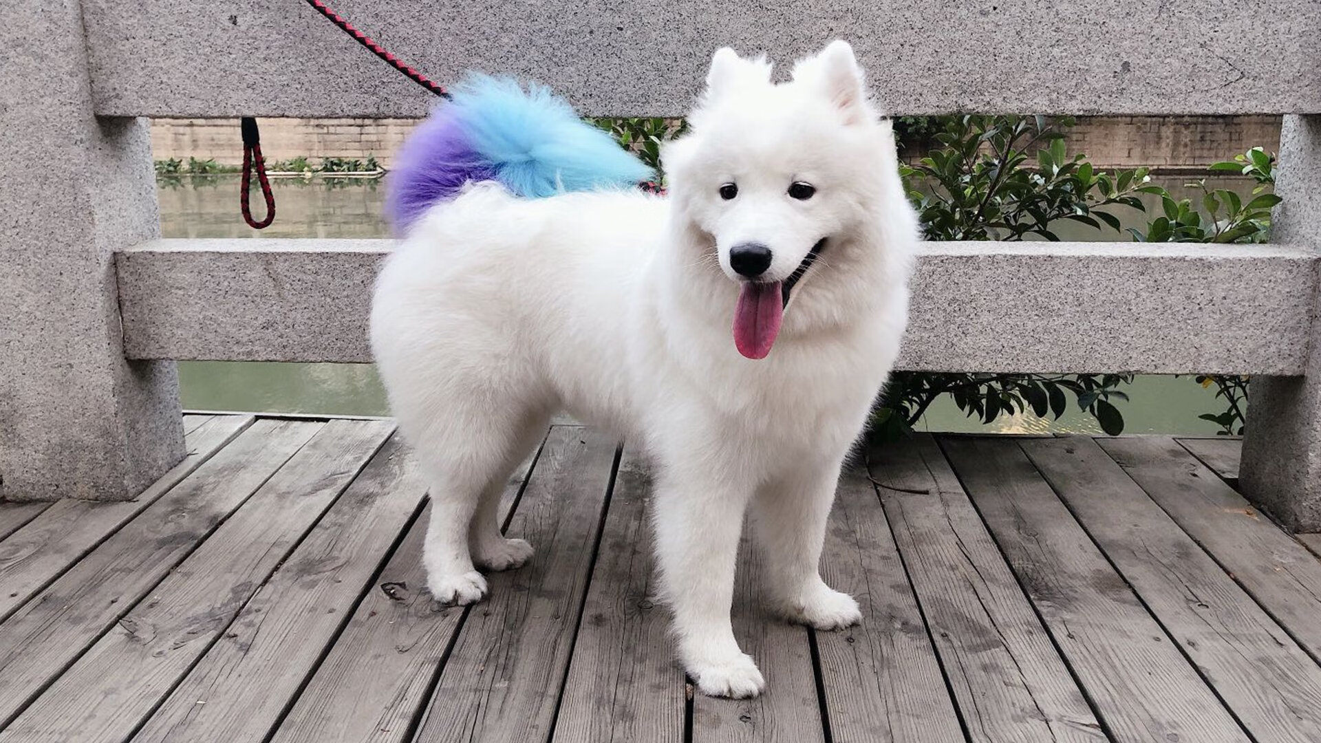 DOTA2观赛热潮不减各大平台竞争激烈,dota2 观看比赛