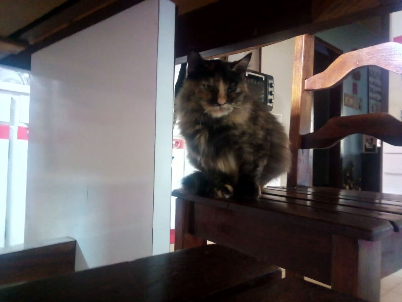 CBA联赛推动篮球运动普及,cba联赛推动篮球运动普及了吗