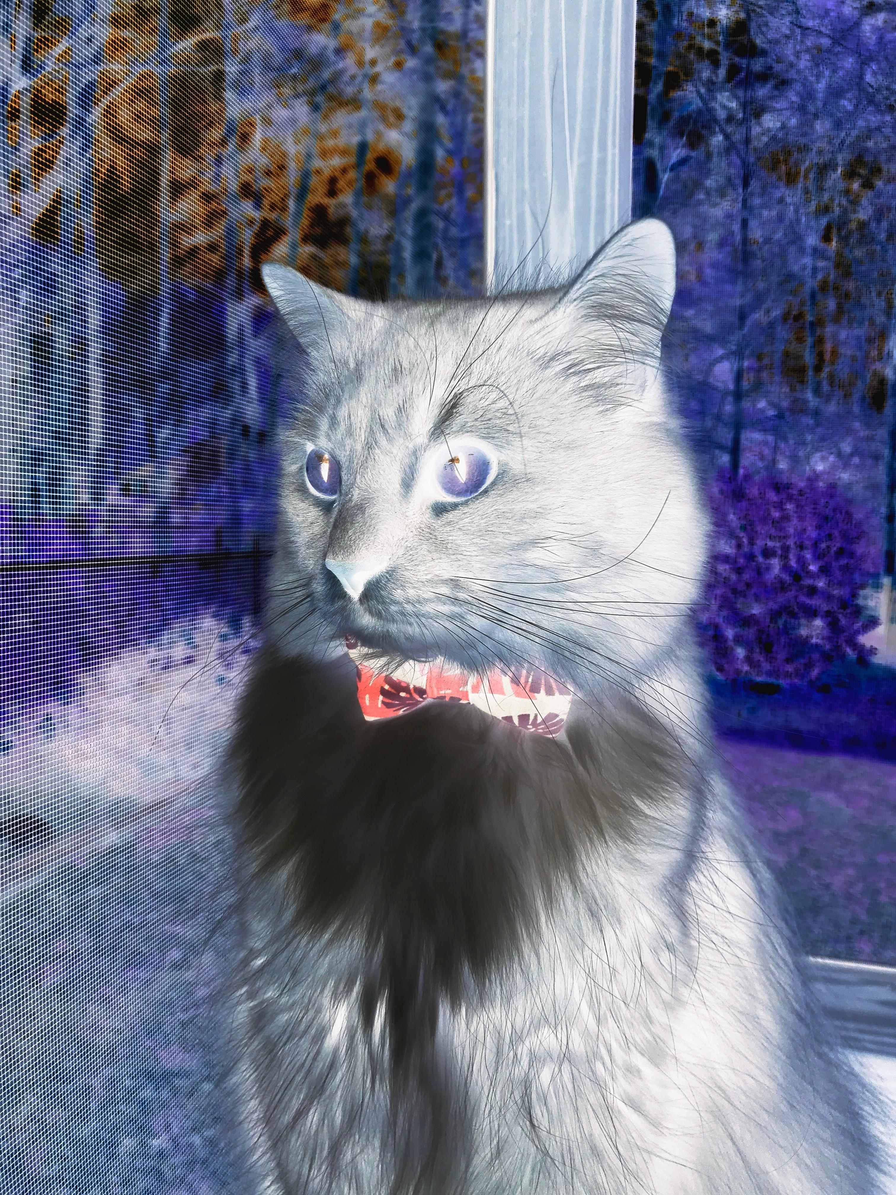 九游网页版官网-国家队备战资源配置不均衡，国家队备战资源配置不均衡的措施