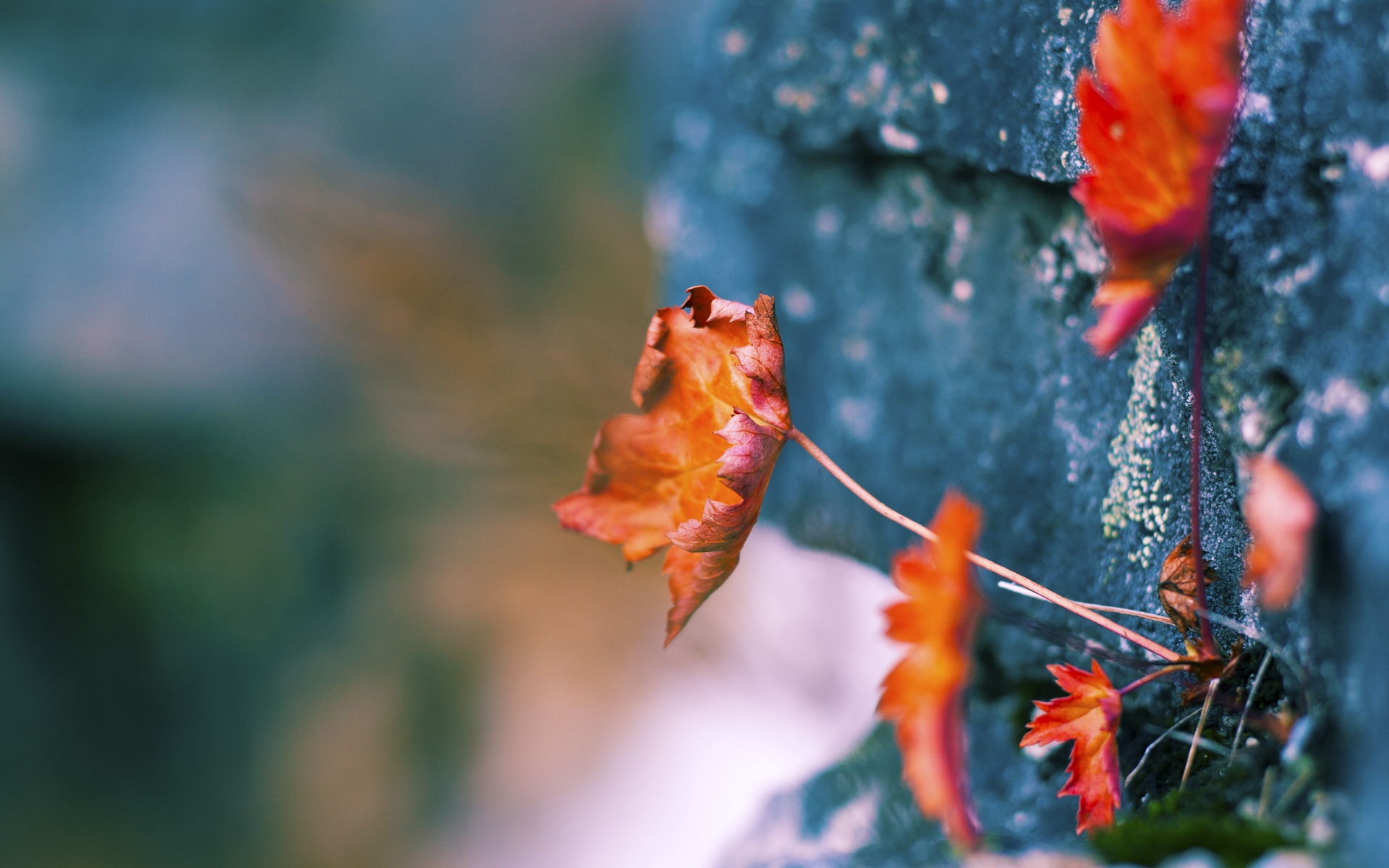 整场比赛节奏把控最成功的球队,全场节奏