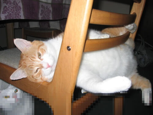 王者荣耀社区创作者计划扶持新人登场,微视王者荣耀创作者招募规则