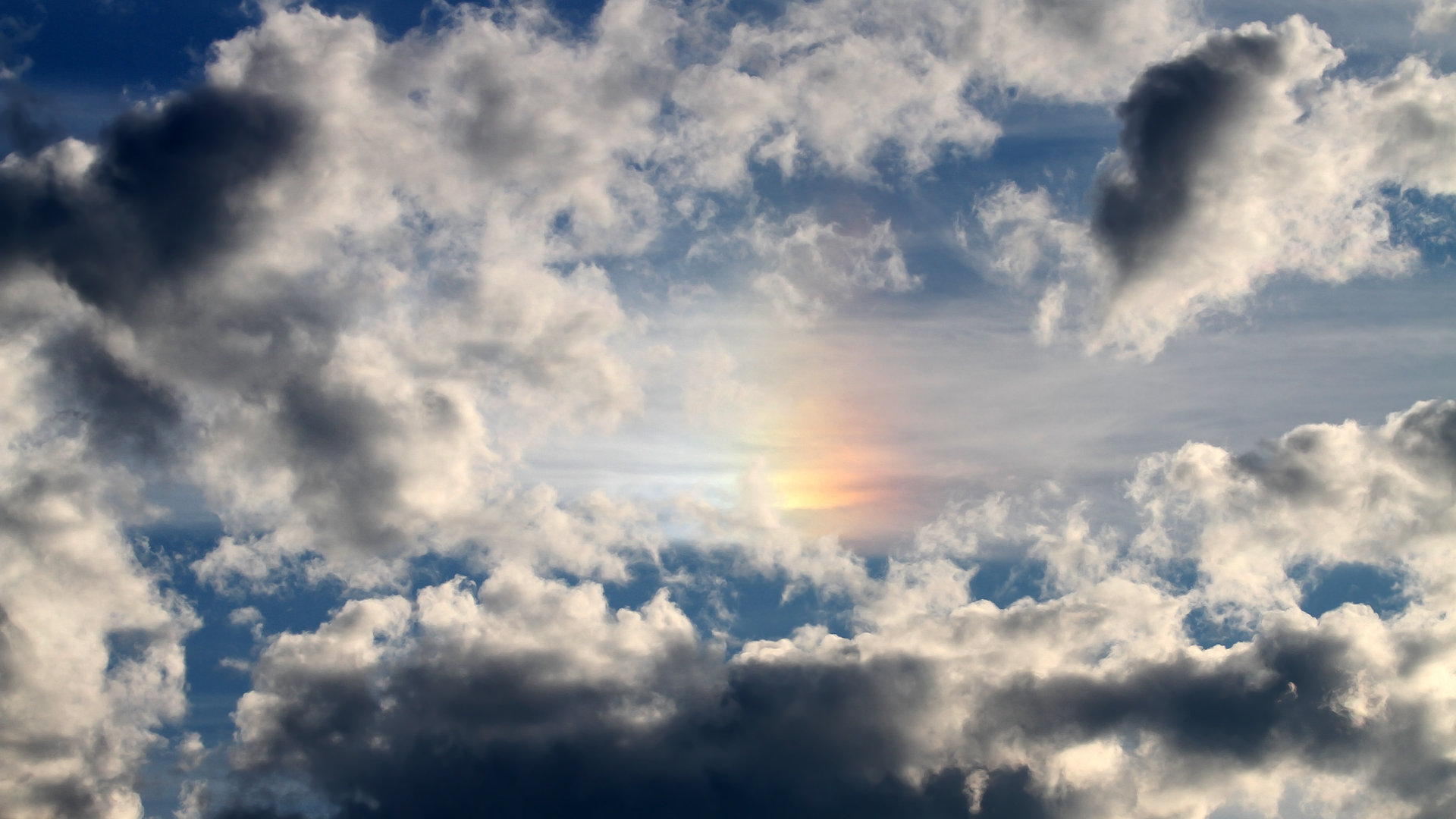 田径项目技术提升助力成绩突破，田径竞技能力