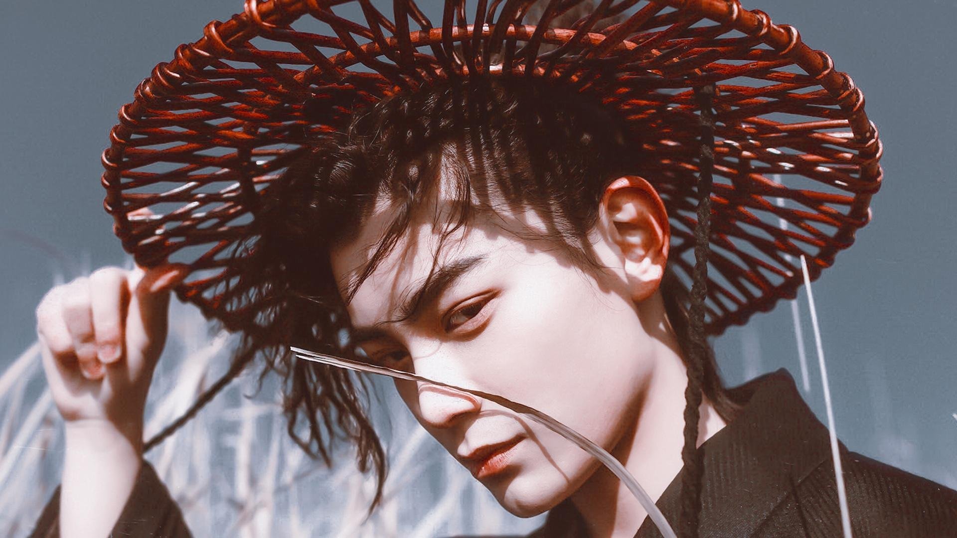 仰泳强项希腊坚持到底获突破,仰泳解析