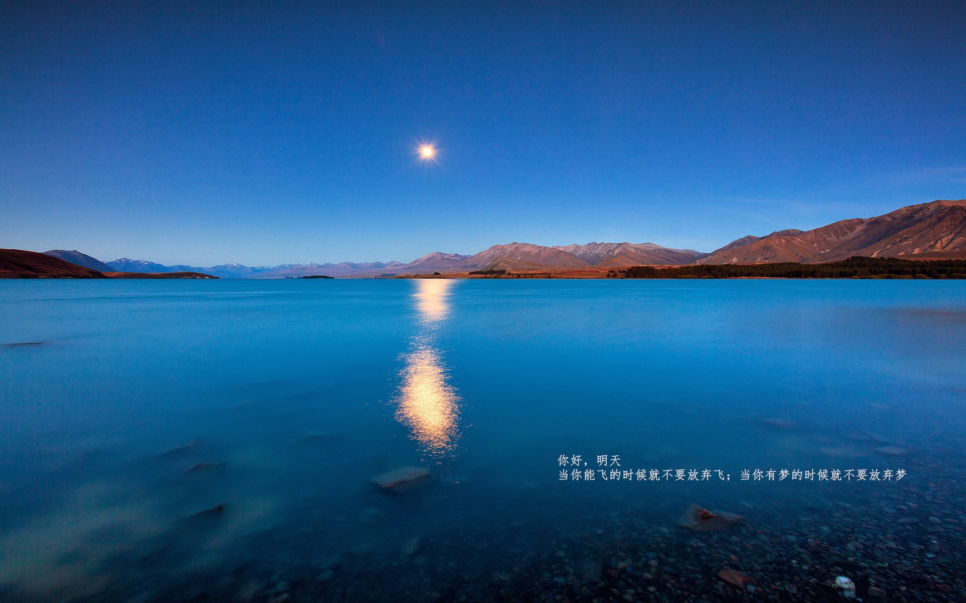 九游娱乐APP-各国积极推动女子足球崛起，国际比赛频频亮相，女子国家足球队