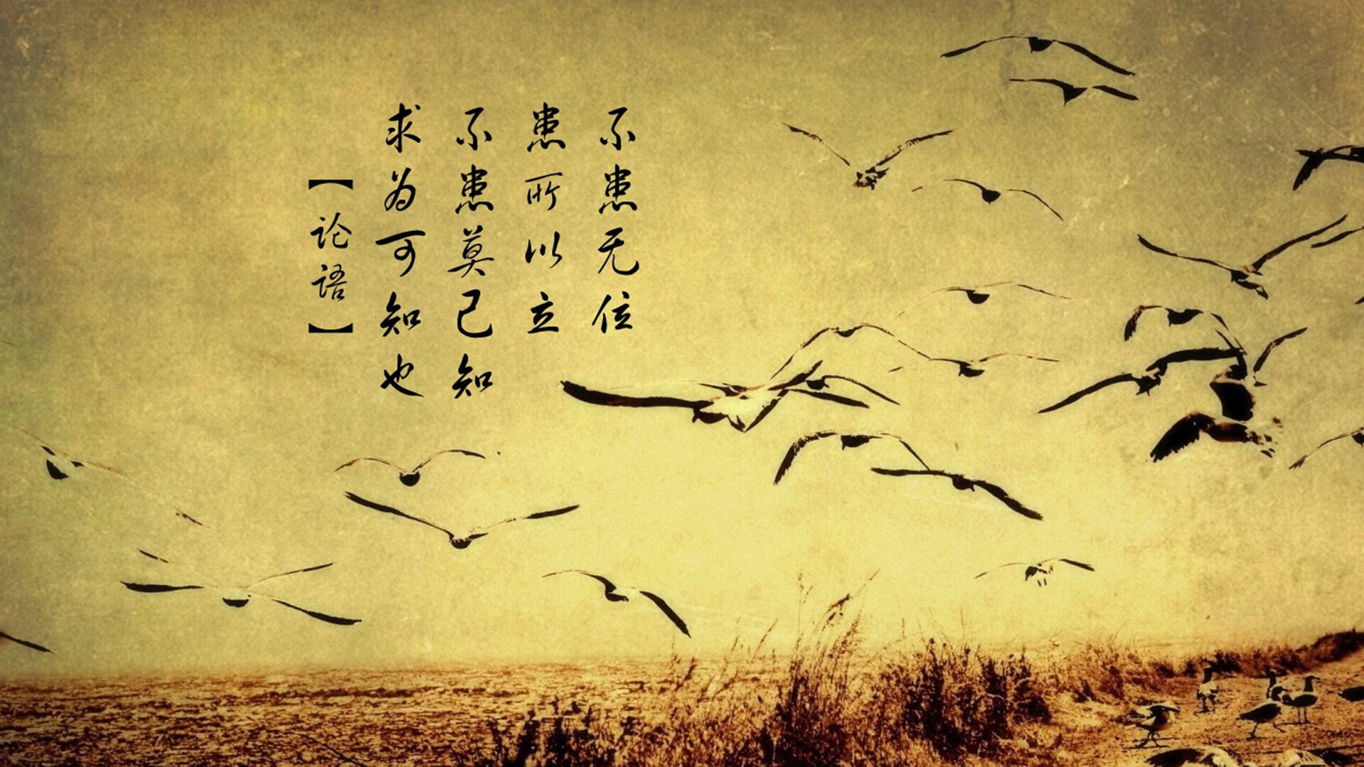 职业联赛优化赛程安排兼顾竞技强度与恢复周期,职业联赛赛制