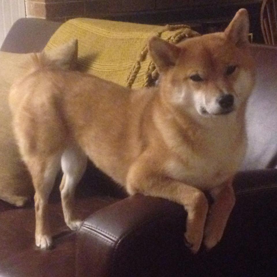 英超激情爆发:每场对决都精彩绝伦!,英超精彩视频