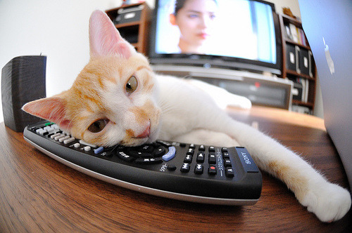 九游-阿莱克西决赛表现获教练高度评价，阿莱克西亚图片