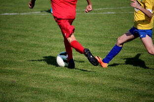 九游游戏中心官网-世界马拉松大满贯赛事上海站开跑，世界马拉松大满贯赛事上海站开跑时间